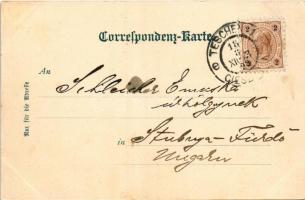 1898 (Vorläufer) Cieszyn, Teschen; Herz Jesu Kirche, Erzherzog Albrecht Allee / church, street view....