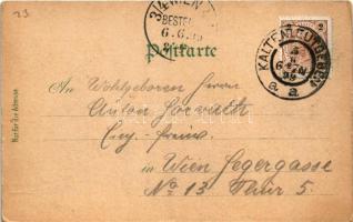 1899 (Vorläufer) Kaltenleutgeben, general view. Kunstanstalt Karl Schwidernoch Art Nouveau, floral, ...