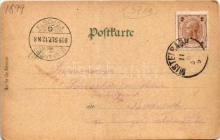 1899 (Vorläufer) Mistelbach, Dreifaltigkeitssäule, Rathaus, Schloss Ebendorf, Warenhaus Löffler / Ho...