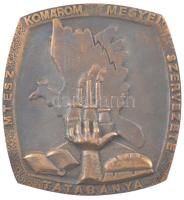 ~1960-1980. MTESZ Komárom Megyei Szervezete Tatabánya egyoldalas bronz emlékplakett (95x90mm) T:1-