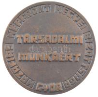Renner Kálmán (1927-1994) DN "Társadalmi munkáért" kétoldalas bronz emlékérem (88mm) T:1-