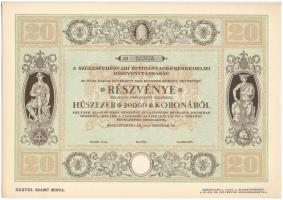 Székesfehérvár 1923. Székesfehérvári Építőanyagkereskedelmi Részvénytársaság 20db részvénye összesen 20.000K-ról, MINTA T:I,I-