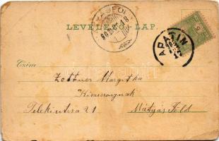 1902 Apatin, látkép, Templom és polgári iskola, Szavadill könyvnyomdája, Aman József és Társa féle s...