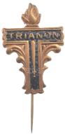 ~1920. Trianon festett bronz gyászjelvény (31x21mm) T:2