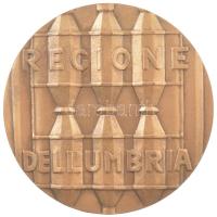 Olaszország DN "Recione Dell'umbra" kétoldalas bronz emlékérem, Szign.:Giovanni Ricce...