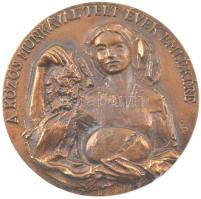 Bajnok Béla (1937-) DN "A közös munkával telt évek emlékére" egyoldalas bronz emlékérem (96mm) T:1-