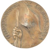 1970. Felszabadulásunk 25. évfordulója egyoldalas bronz emlékérem (104mm) T:1-