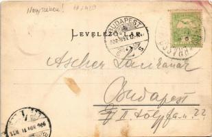 1906 Nagyszeben, Hermannstadt, Sibiu; Romänische Schafhirten / Román pásztorok, erdélyi folklór. Ver...