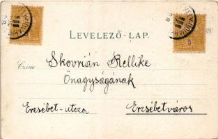 1901 Székelyudvarhely, Odorheiu Secuiesc; Református kollégium, Rudolf József üzlete, kút. Gál János...