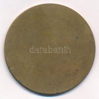 DN "Országos Vadászati Védegylet - 1881" egyoldalas bronz emlékérem (51mm) T:1,1-