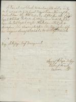 1845 Levél Gróf Benyovszky Zsigmondhoz, Benyovszky Móric unokaöccséhez