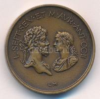 Lesenyei Márta (1930-) 1991. L. SEPT. SEV. ET M. AVR. ANT. CCII / I. O. DOLICHENO - SAVARIA MCMXCI kétoldalas bronz MÉE emlékérem (29mm) T:1 Adamo SH11