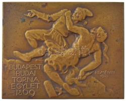 Reményi József (1887-1977) 1937. Budapesti Budai Torna Egylet 1869 - Reményi 1923 bronz sportplakett, hátoldalán 1937 gravírozással és Ludvig gyártói jelzéssel (50x62mm) T:2 HP 2210.