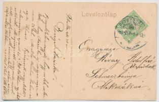 1913 Lupény, Lupeni; Erdélyi folklór, körmenet, népi felvonulás az utcán, Jancsó Károly üzlete. Adle...