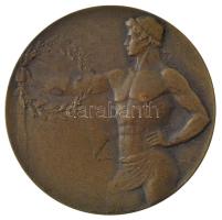 1933. Magyar Athletikai Szövetség - Magyarország-Ausztria 1933. VII. 23. kétoldalas bronz emlékérem (50mm) T:2