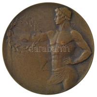 1933. &quot;Magyar Athletikai Szövetség - Magyarország-Ausztria 1933. VII. 23.&quot; kétoldalas bronz emlékérem (50mm) T:2