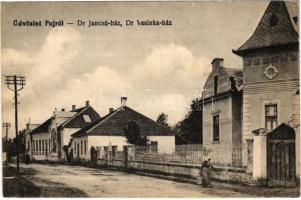 1918 Puj, Pui; Dr. Jancsú ház és Dr. Vasinka ház. Ábrahám Ignác kiadása / villas, street view (EK)