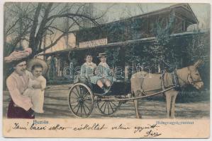 1905 Buziásfürdő, Baile Buzias; Hidegvízgyógyintézet. Montázs szamaras kocsival, hölggyel és gyerekekkel / spa, bath. Montage with donkey-drawn carriage, lady and children (r)