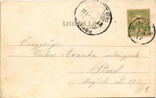 1905 Buziásfürdő, Baile Buzias; Uszoda, Trefort szobor, kerékpár. Nosek Gusztáv kiadása / swimming p...