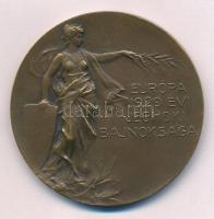 1929. Európa 1929. évi Jéghoki Bajnoksága / Budapesti Korcsolyázó Egylet bronz emlékérem az 1929-es budapesti rendezésű jégkorong Európa Bajnokság alkalmából. A tornát Csehszlovákia nyerte meg, a döntőben Lengyelország ellen győztek 2-1-re (50mm) T:1-