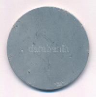 Berán Nándor (1889-1965) 1941. "Hegyi Szent Bernát - Vándordijjas Siverseny" Al díjérem, h...