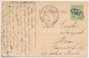 1909 Déva, Fő utca, vár, Hirsch Testvérek üzlete, Fehér Kereszt szálloda. 494. (W.L. ?) / main stree...