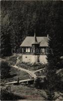 1910 Homoródfürdő, Homoród-fürdő, Baile Homorod; nyaraló. Erdélyi Simon kiadása / villa, spa (EK)