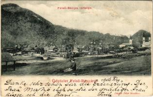 1906 Felsőbánya, Felső-Bánya, Baia Sprie; látkép. Dácsek Péter kiadása / general view (EB)