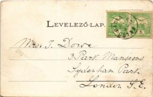 1906 Felsőbánya, Felső-Bánya, Baia Sprie; látkép. Dácsek Péter kiadása / general view (EB)