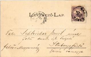 1900 Nagybánya, Baia Mare; fő tér északi oldala, üzletek / main square, shops