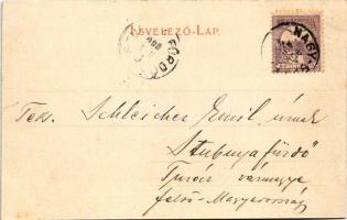 1900 Nagybánya, Baia Mare; látkép délről. Molnár Mihály kiadása / main square, shops