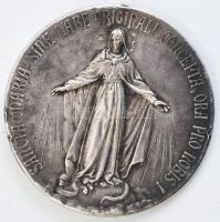 Maria B. V. della consolata ezüstözött fém emlékérem, medál. d: 45 mm