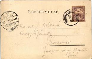 1901 Ada Kaleh. Hairy Hassan (EK)