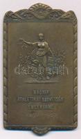 1937. "Magyar Athletikai Szövetség emlékérme 1897-1937" bronz emlékplakett, "Ludvig" gyártói jelzéssel (44x78mm) T:2