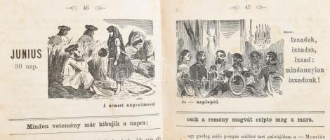 Bolond Miska naptára 1858-ra. Ötven eredeti fametszettel. Első évfolyam. 
Pest, 1858. Landerer és H...