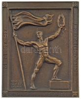 Edvi Illés György (1911-1991) 1949. "M.M.SZ.SZ. - Bankcsoportja - Bajnoki érem - Sporttitkárság" egyoldalas bronz díjplakett, "Mezei 1949 II" gravírozással a hátoldalán (51x63mm) T:2