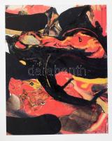 Laszlo Lakner. Study and vision. Frühe Arbeiten auf Papier 1948-1969. Band I. A művész, Lakner Lászl...