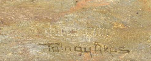 Tolnay Ákos (1861-1932): Udvar zöldellő tájban (a festő műterme?). Olaj, karton. Jelzett. Hátoldalán...