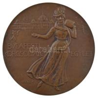 Beck Ö. Fülöp (1873-1945) ~1900. Budapesti Korcsolyázó Egylet egyoldalas bronz emlékérem (70mm) T:1- patina