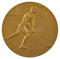 Csehszlovákia 1928. Hockey Bandy - Starý Smokovec (Ótátrafüred) - 1927/8 - I. kétoldalas, aranyozott bronz jéglabda díjérem (40mm) T:1- Czechoslovakia 1928. Hockey Bandy - Starý Smokovec - 1927/8 - I. two-sided, gilt bronze hockey bandy award medal (40mm) C:AU