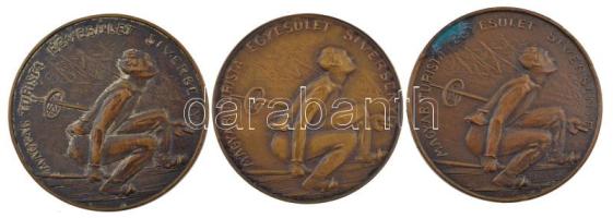 1933-1937. Magyar Turista Egyesület síversenye 3db bronz díjérem, mindegyik gravírozott, egyik elfordult hátlappal (34mm) T:2,2-