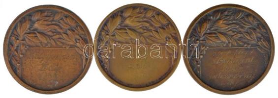 1933-1937. "Magyar Turista Egyesület síversenye" 3db bronz díjérem, mindegyik gravírozott,...