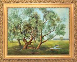Emil Schmitz (1906-1987) német festőművész: Tavaszi rét, 1946. Olaj, rétegelt falemez, jelzett. Fa keretben: 80cm x 60cm