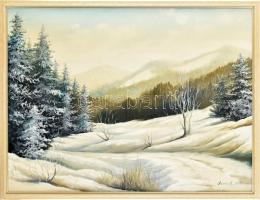 Simon K. Jelzéssel: Téli táj, 1988. Olaj, vászon. Fa keretben: 80cm x 60cm
