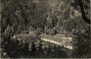 Tomest, Tamásd, Tomesti; Üveggyár, lakóházak tisztviselők és munkások részére / glass factory, glassworks, residences for officials and workers