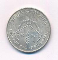 Nepál 1968. 10R Ag "FAO" T:2 Nepal 1968. 10 Rupees Ag "FAO" C:XF Krause KM#794