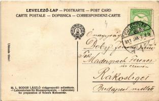1911 Kolozsvár, Cluj; Ifj. L. Bodor László virágpreparáló műintézete / Laboratorium für Blumenprepar...
