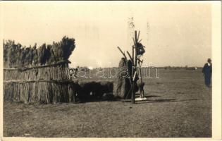 Hortobágy, magyar folklór. photo