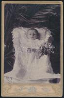1903 A legkedvesebb kislányunknak Etuskánknak az arczképe. Született: Baján 1901 márcz. 6-án. Meghalt: Baján 1903 junius 1-én. Halott kisgyermek ravatali fotója, Perger Vincze bajai műterméből, a hátoldalán feliratozva, a felületén kis sérüléssel, 17x11 cm