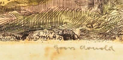 Gross Arnold (1929-2015): Vajdahunyad vár. Színezett rézkarc, papír, jelzett. Foltos. Üvegezett fake...